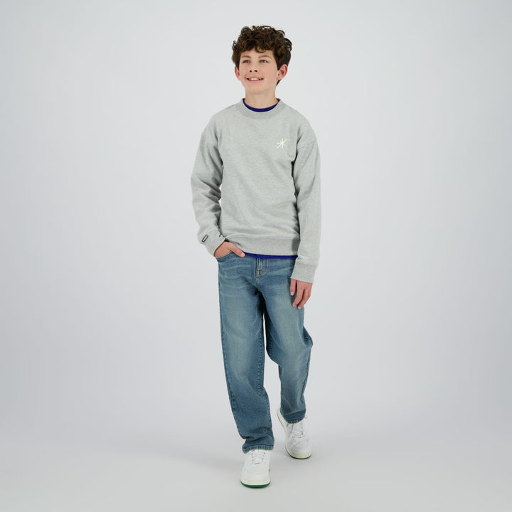 Raizzed Hoody Norwin grijs melee – sweater jongens