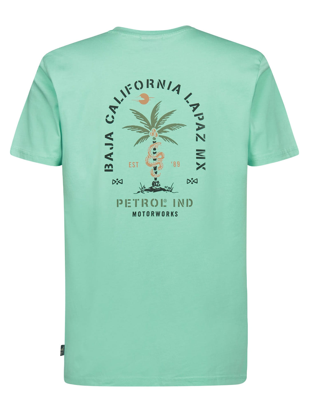 Petrol men M-1060-TSR130 mint t-shirt voor heren