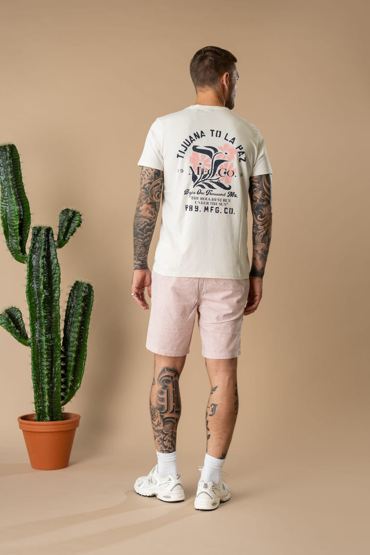 Petrol men M-1060-TSR625 t-shirt ecru – heren