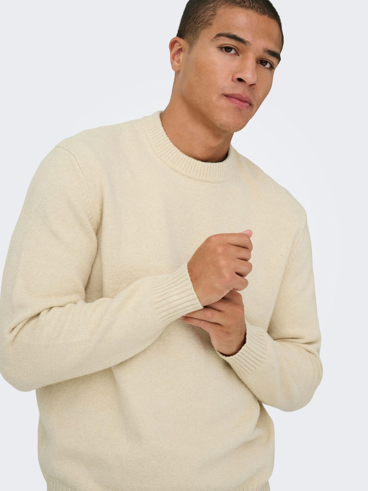 ONLY & SONS ONSJAMES RLX CREW KNIT NOOS – trui heren - Ecru
