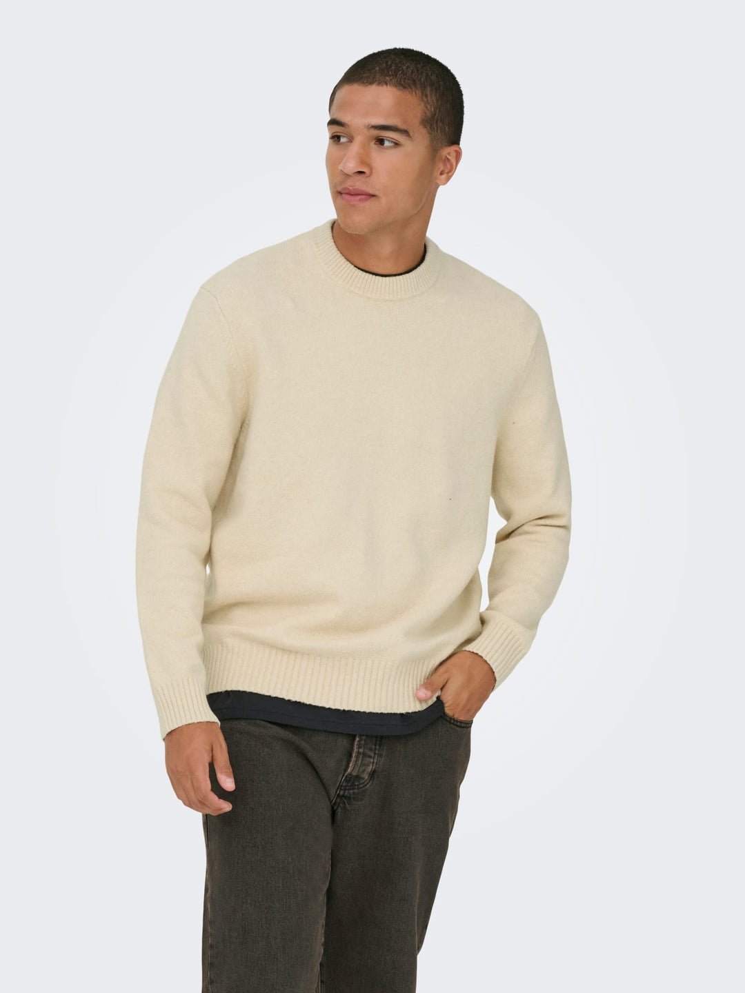 ONLY & SONS ONSJAMES RLX CREW KNIT NOOS – trui heren - Ecru
