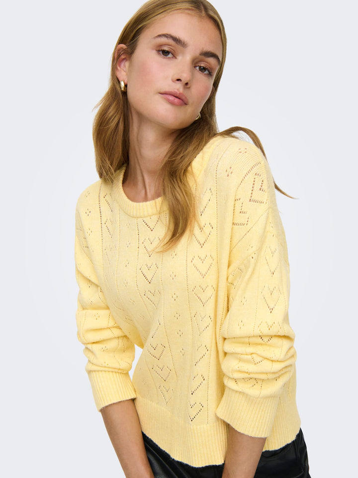 Only ONLISA LIFE LS STRUCT BOXY trui geel – dames