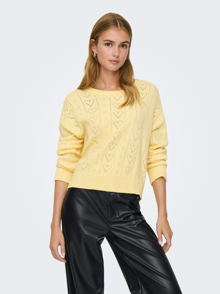 Only ONLISA LIFE LS STRUCT BOXY trui geel – dames