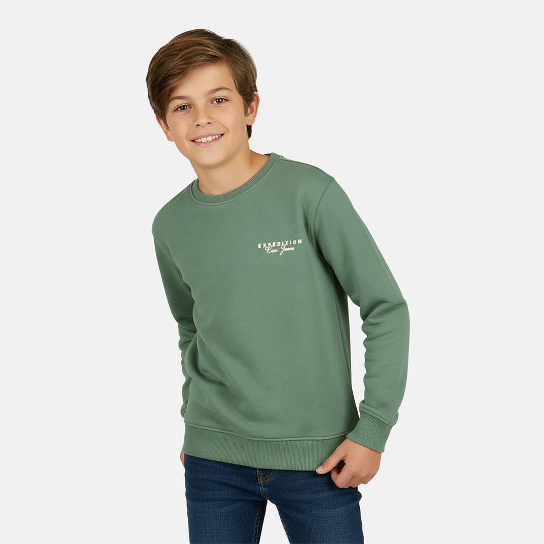 Cars boys sweater jongens groen dessin – Taray jr.