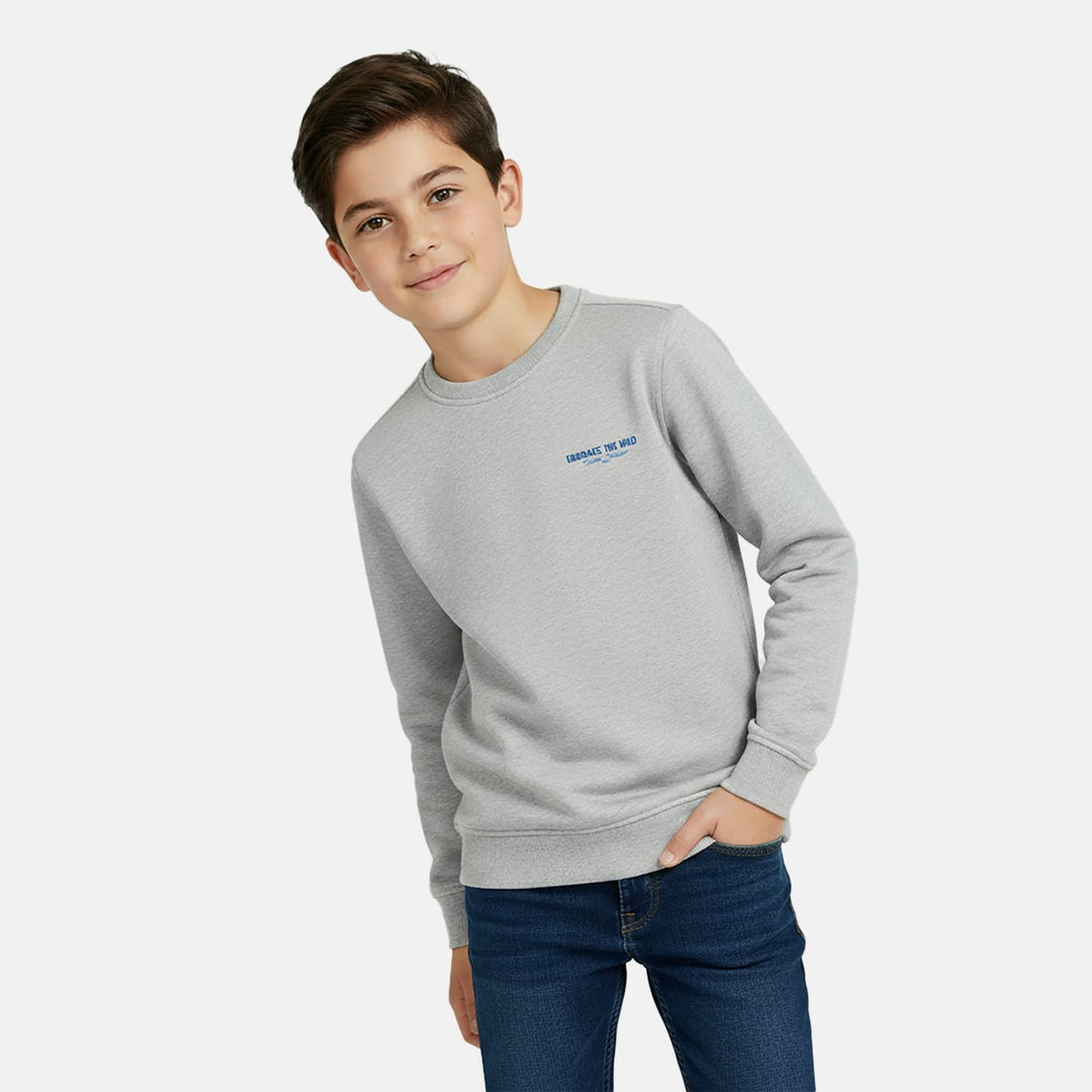 Cars boys sweater grijs melee – jongens