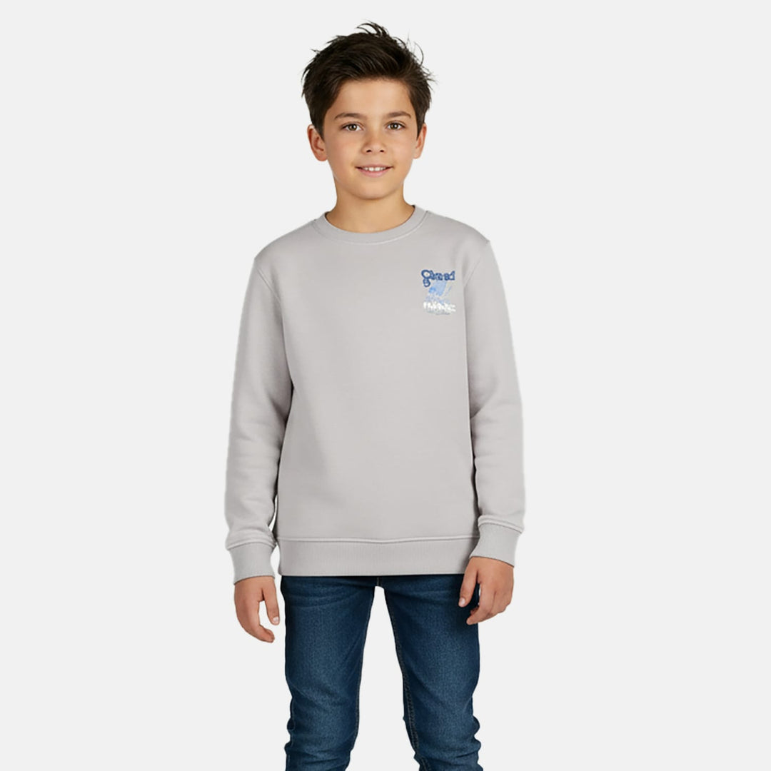 Cars boys sweater grijs melee – jongens