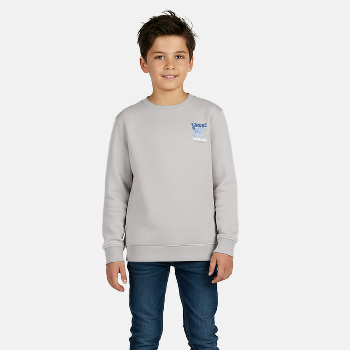 Cars boys sweater grijs melee – jongens