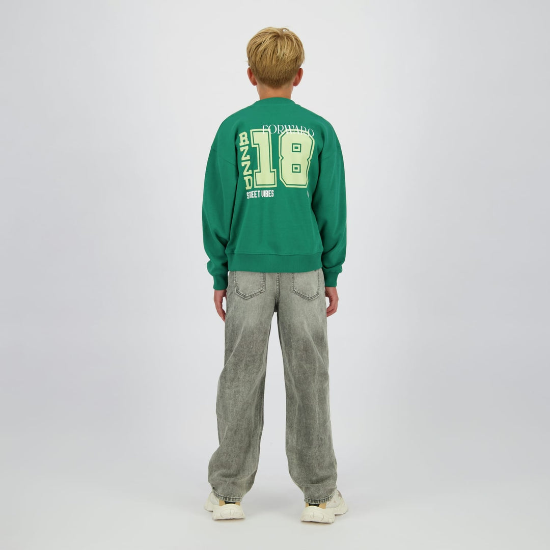 Raizzed Hoody Nardy groen – sweater jongens
