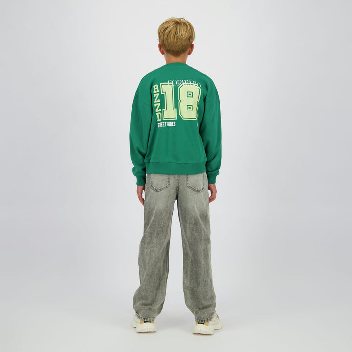 Raizzed Hoody Nardy groen – sweater jongens