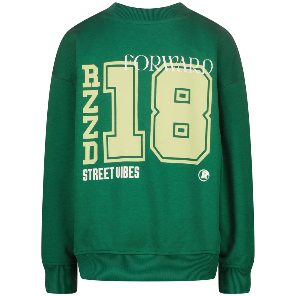 Raizzed Hoody Nardy groen – sweater jongens