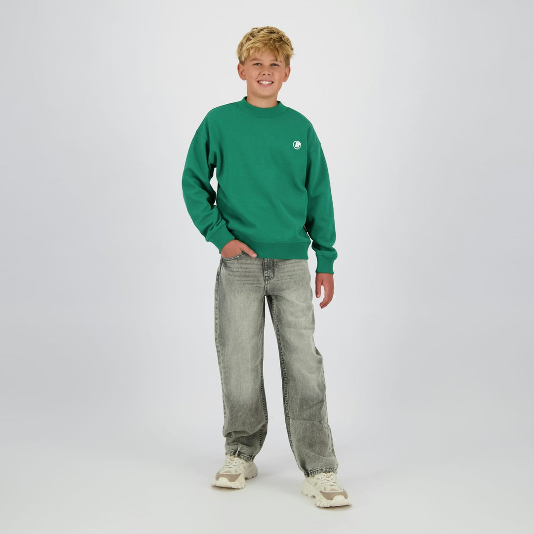 Raizzed R126KB340088 sweater jongens groen