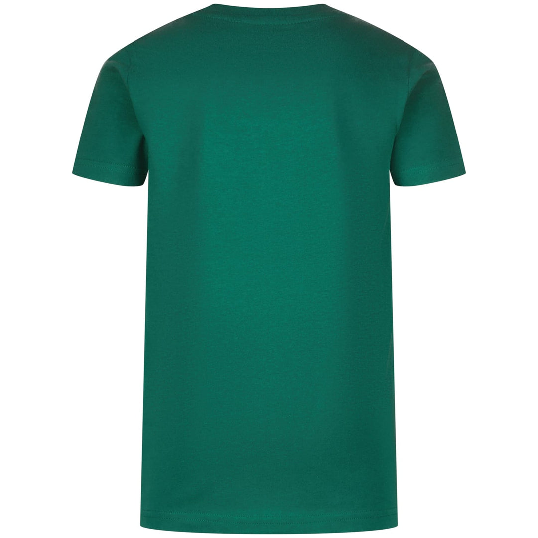 Raizzed T shirt Heasy groen – jongens