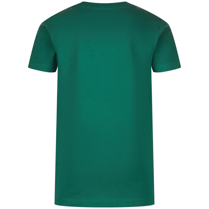 Raizzed T shirt Heasy groen – jongens