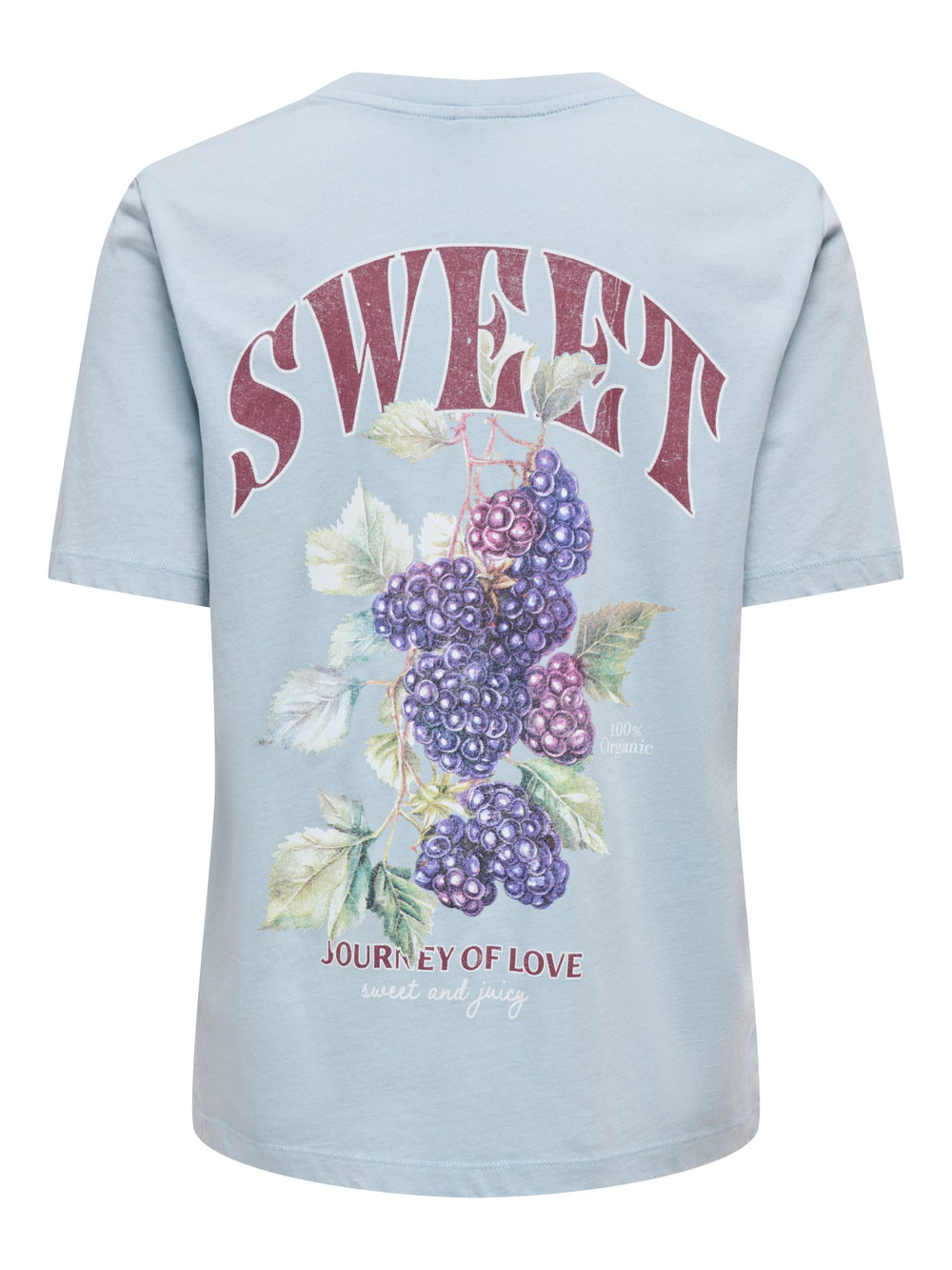 Only 15367829 Lucy t-shirt k/m dames lichtblauw