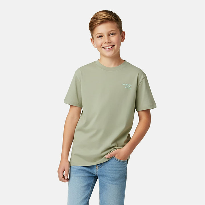 Cars boys T-shirt Byzo jr. grijs melee – jongens