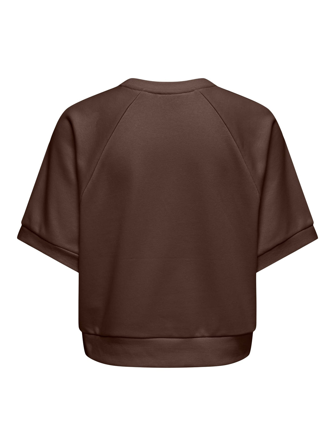 Only ONLDAZE S/S Raglan Sweatshirt bruin dessin – dames