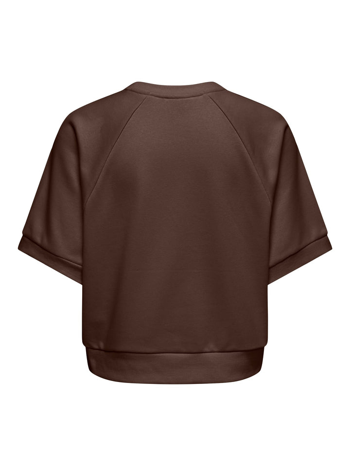 Only ONLDAZE S/S Raglan Sweatshirt bruin dessin – dames