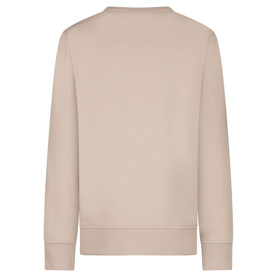 Cars boys 20797 sweater jongens taupe