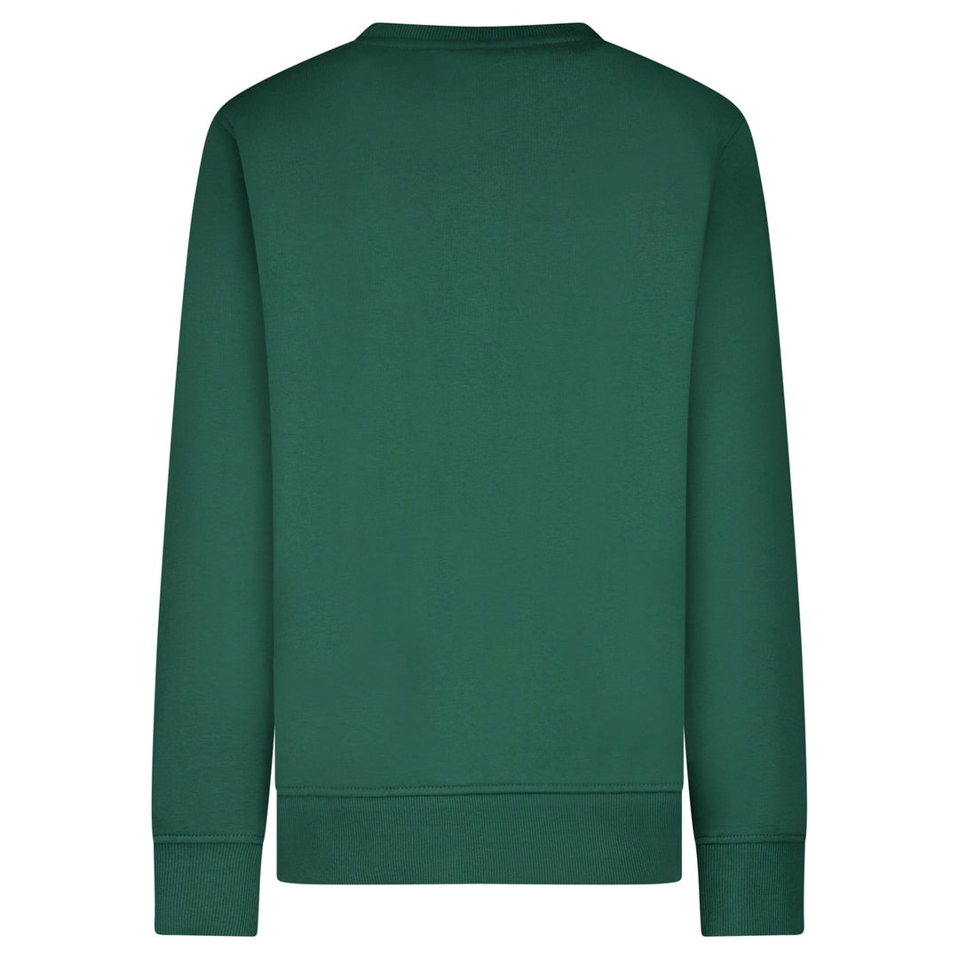Cars boys 20797 sweater jongens olijf