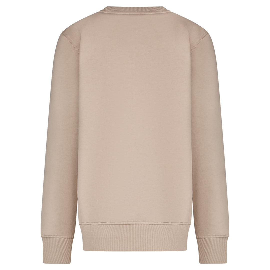 Cars boys 27497 sweater jongens taupe