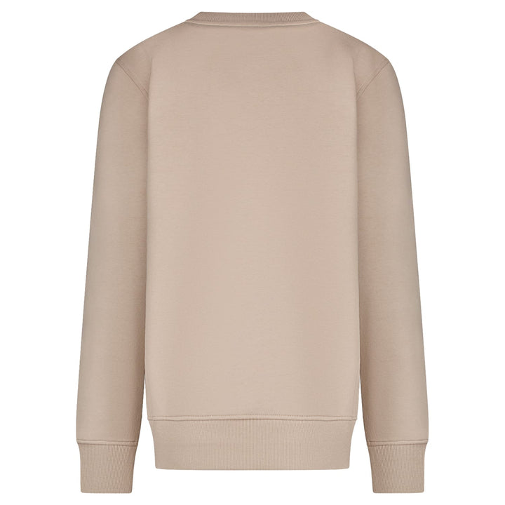 Cars boys 27497 sweater jongens taupe