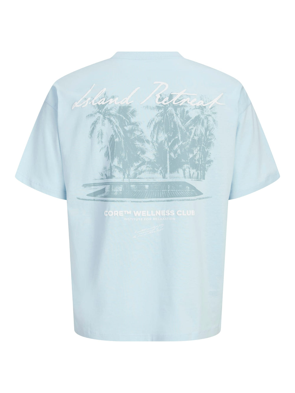 Jack & Jones T-shirt lichtblauw – heren