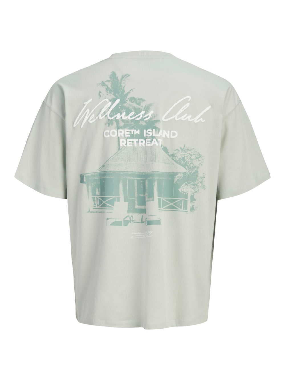 Jack & Jones JCOETERNA T-shirt mint – heren