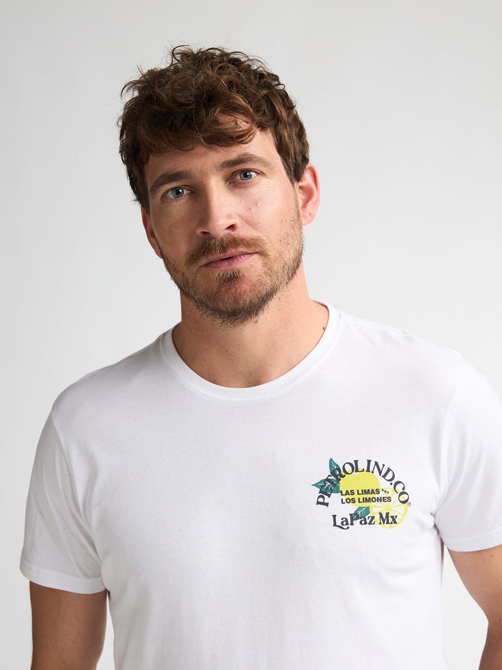 Petrol men M-2060-TSR629 t-shirt off-white – heren