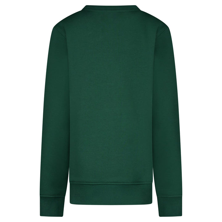 Cars boys 27497 Bramie sweater jongens – olijf