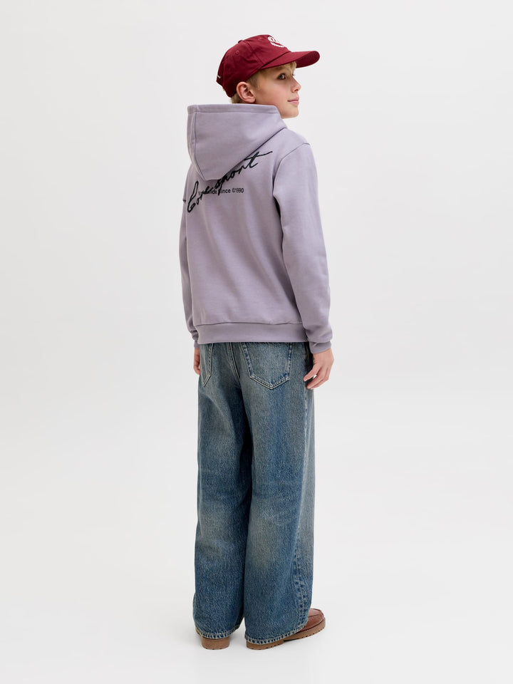 Jack & Jones 12293093 dust hoodie mauve – jongens