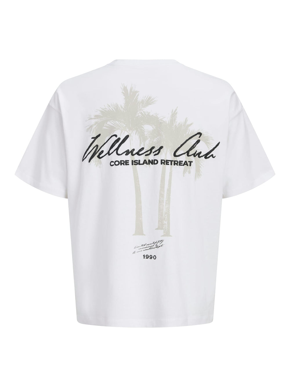Jack & Jones t-shirt k/m heren off-white – 12295544 eterna
