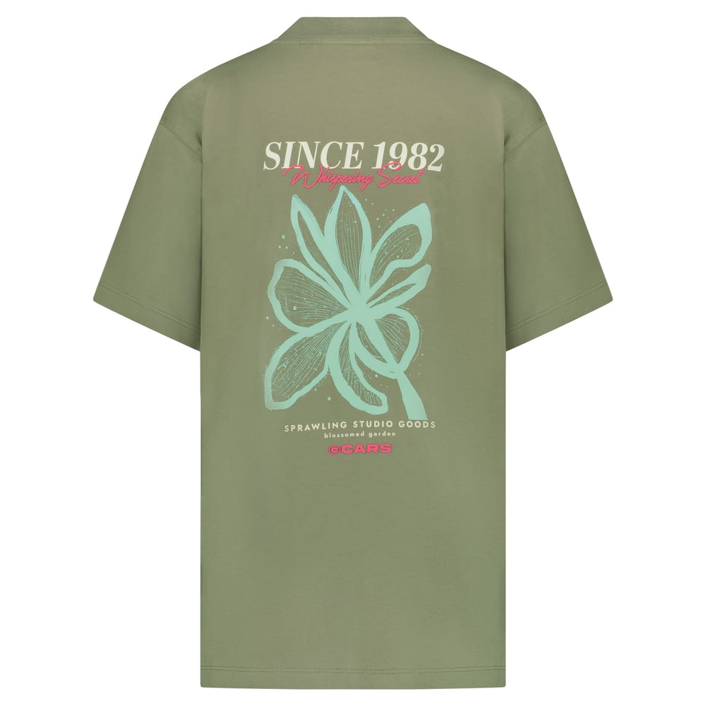 Cars boys T-shirt Pluyo jr. grijs melee – jongens
