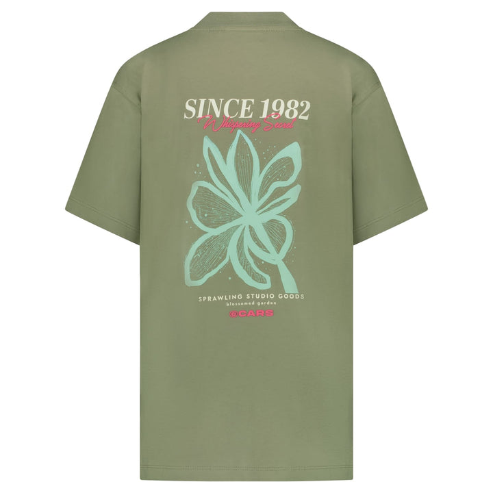 Cars boys T-shirt Pluyo jr. grijs melee – jongens