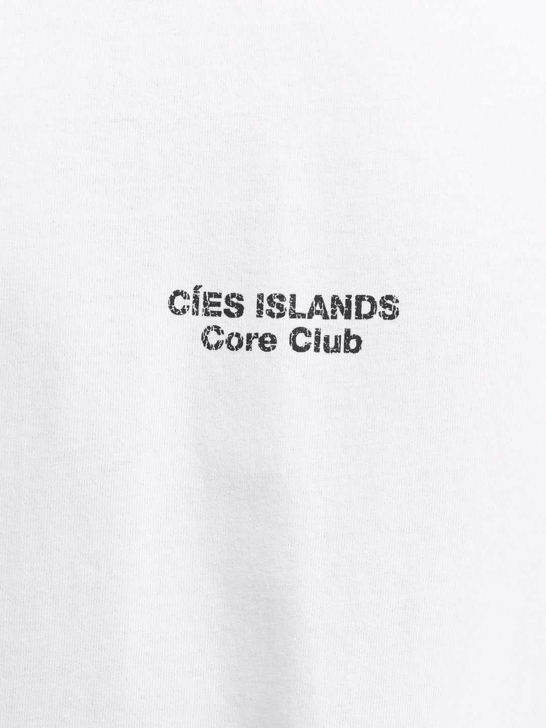 Jack & Jones JCOSOLANA CHECKERED BACK TEE SS CREW - T-shirt heren - Off-white