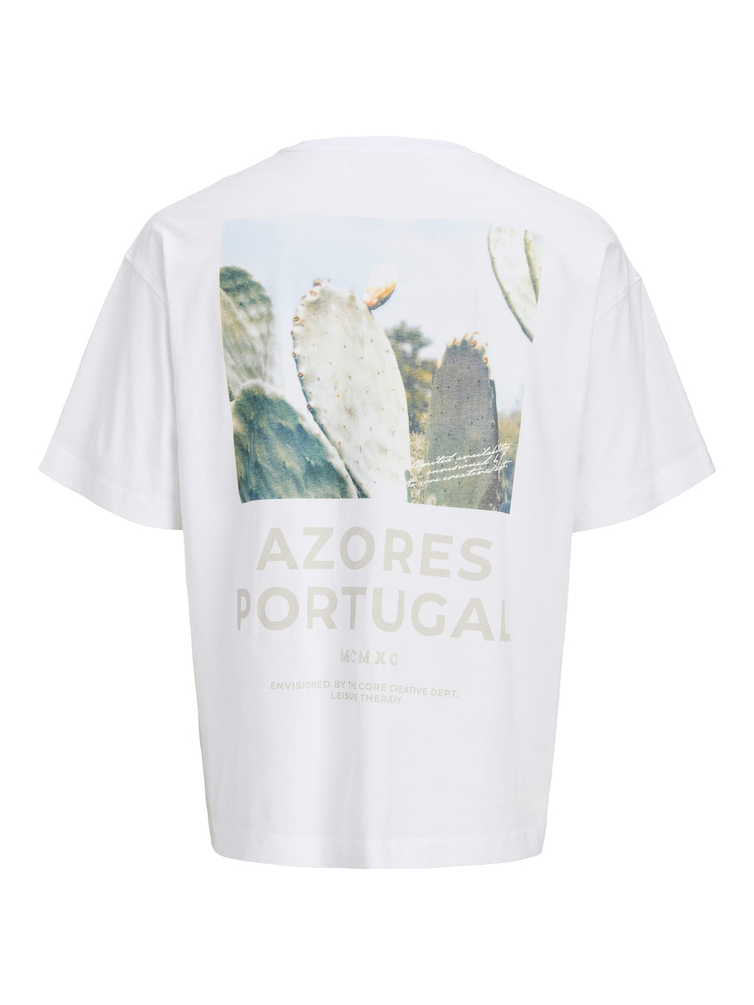 Jack & Jones JCOETERNA T-shirt off-white – heren