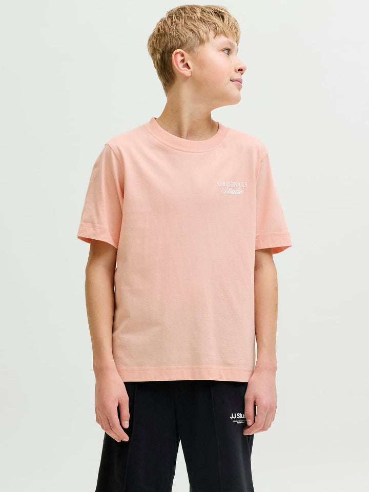 Jack & Jones Kids T-shirt Norrebro zalm/peach - jongens