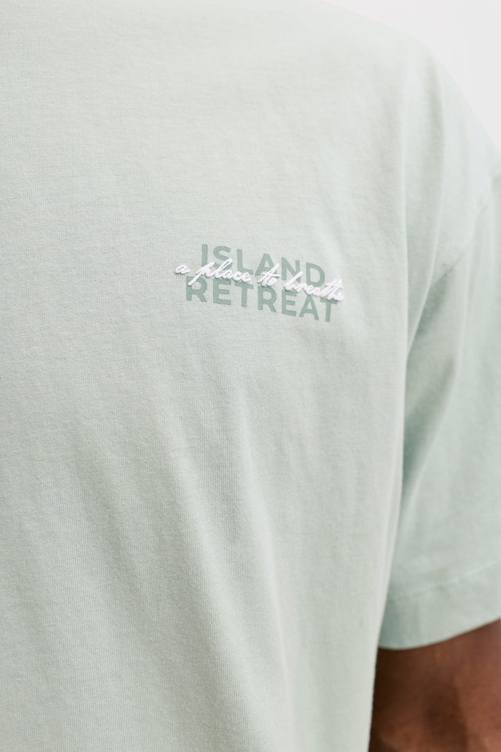 Jack & Jones T-shirt mint – heren