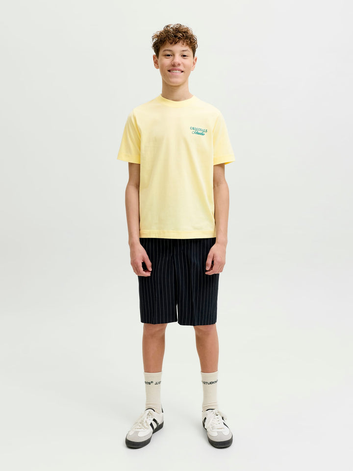 Jack & Jones Kids 12284057 norrebro T-shirt licht geel