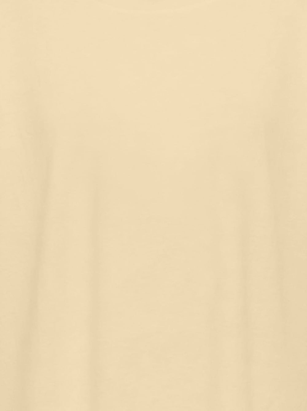 Only Bira t-shirt licht geel – dames
