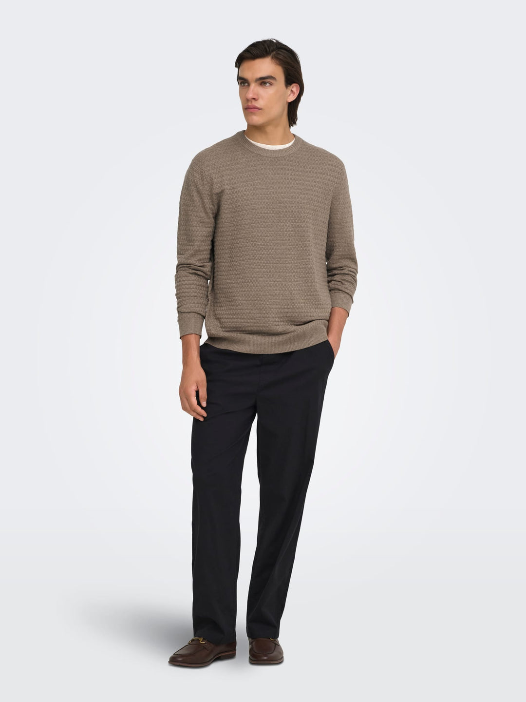 ONLY &amp; SONS 22038965 loui trui taupe – heren