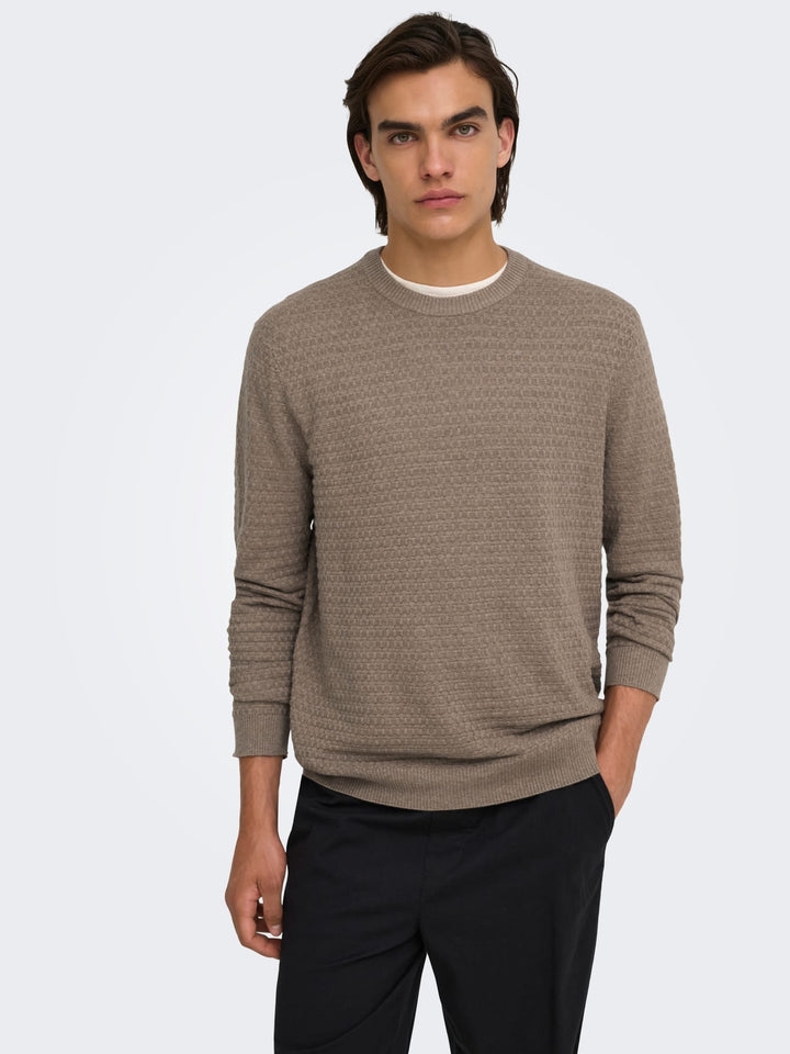 ONLY &amp; SONS 22038965 loui trui taupe – heren