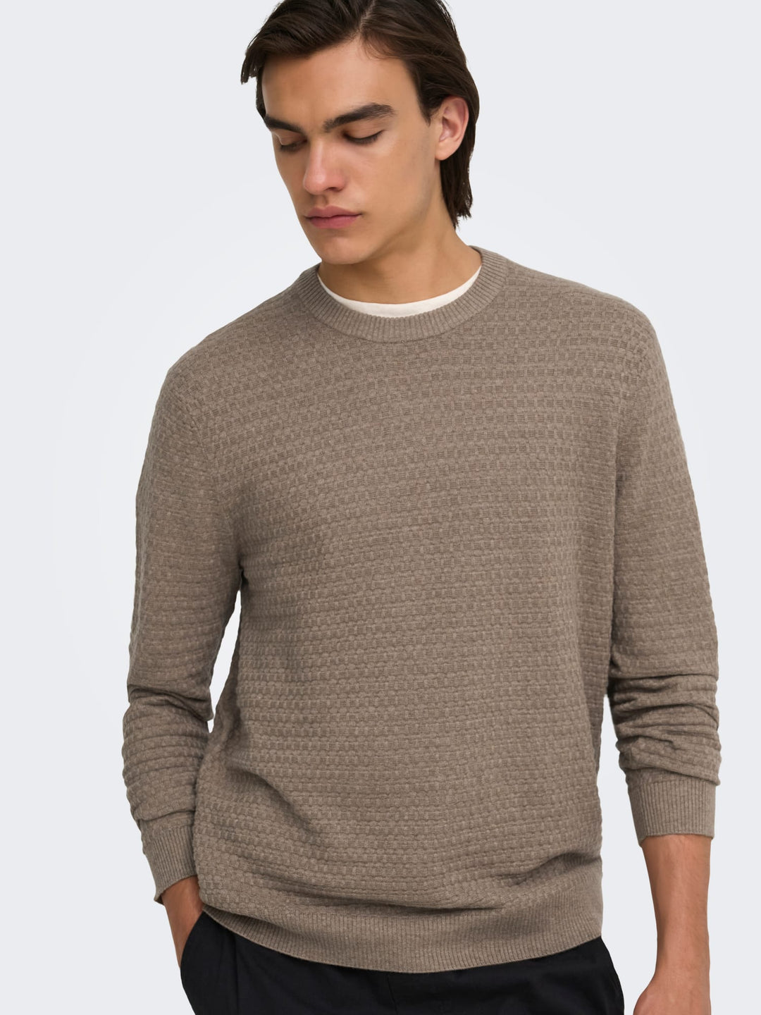 ONLY &amp; SONS 22038965 loui trui taupe – heren