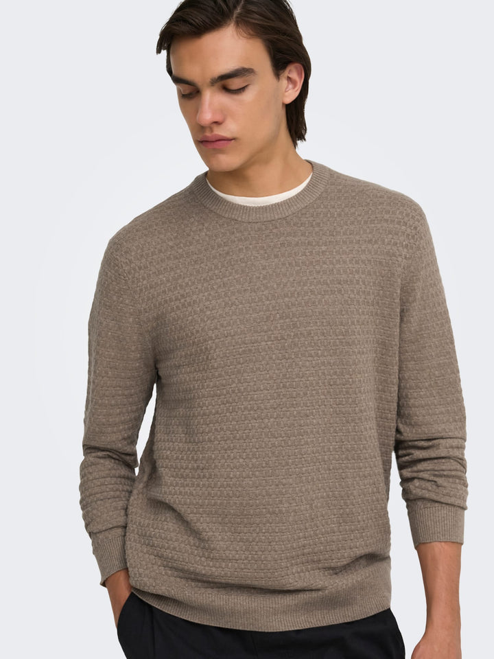 ONLY &amp; SONS 22038965 loui trui taupe – heren