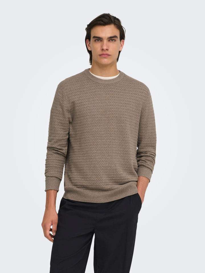 ONLY &amp; SONS 22038965 loui trui taupe – heren