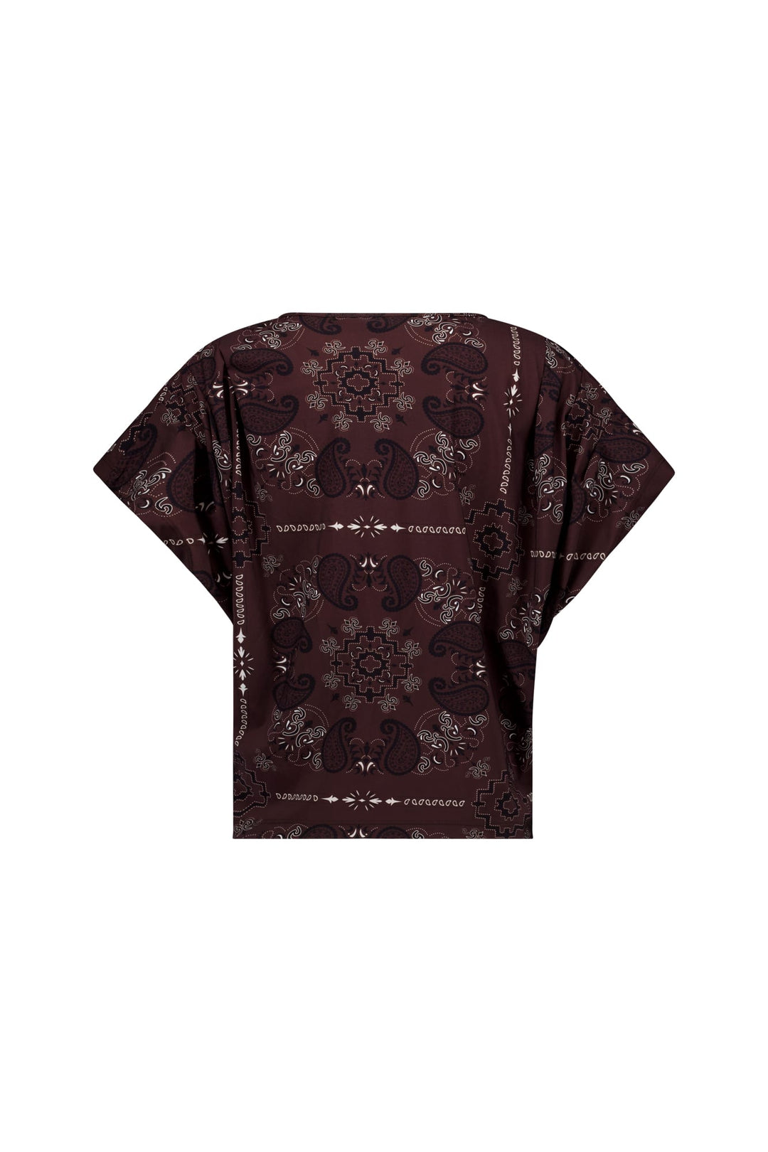 Studio Anneloes Renske paisley vneck top – dames - Bruin Dessin