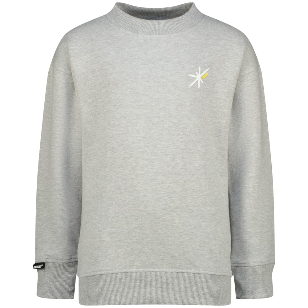 Raizzed R225KB340098 sweater jongens grijs melee