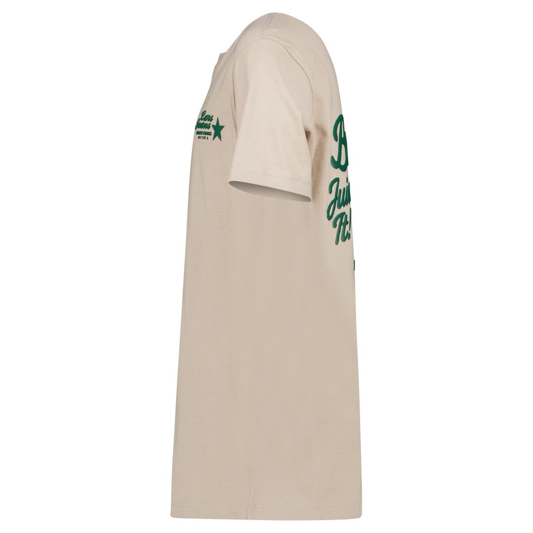 Cars boys 21297 t-shirt taupe – jongens