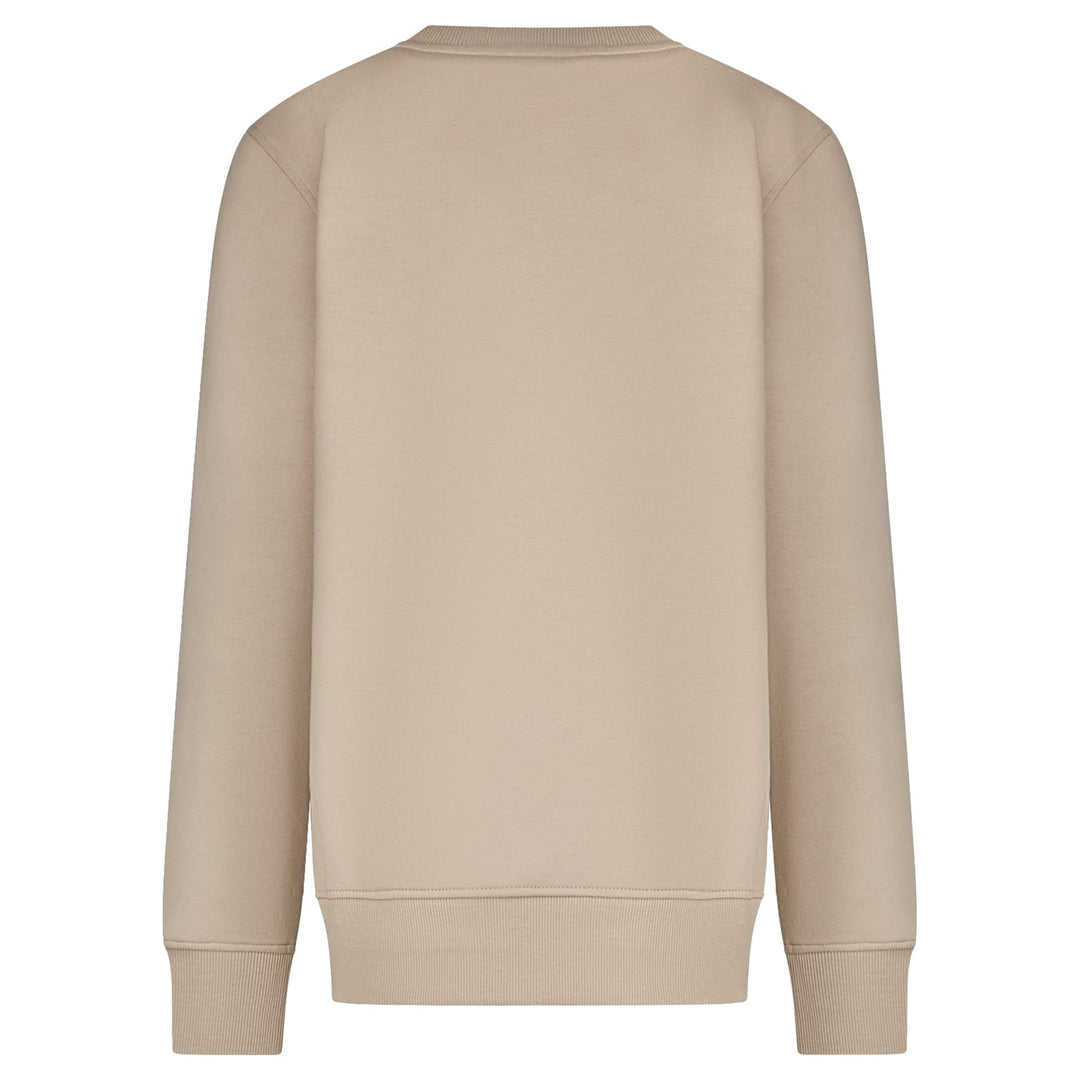 Cars boys 27497 sweater jongens taupe