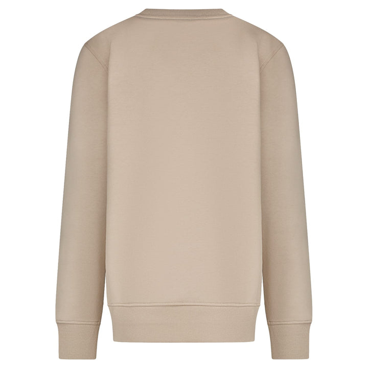 Cars boys 27497 sweater jongens taupe
