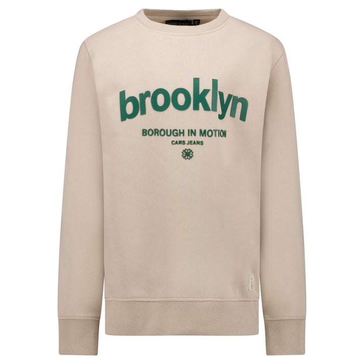 Cars boys 20797 sweater jongens taupe